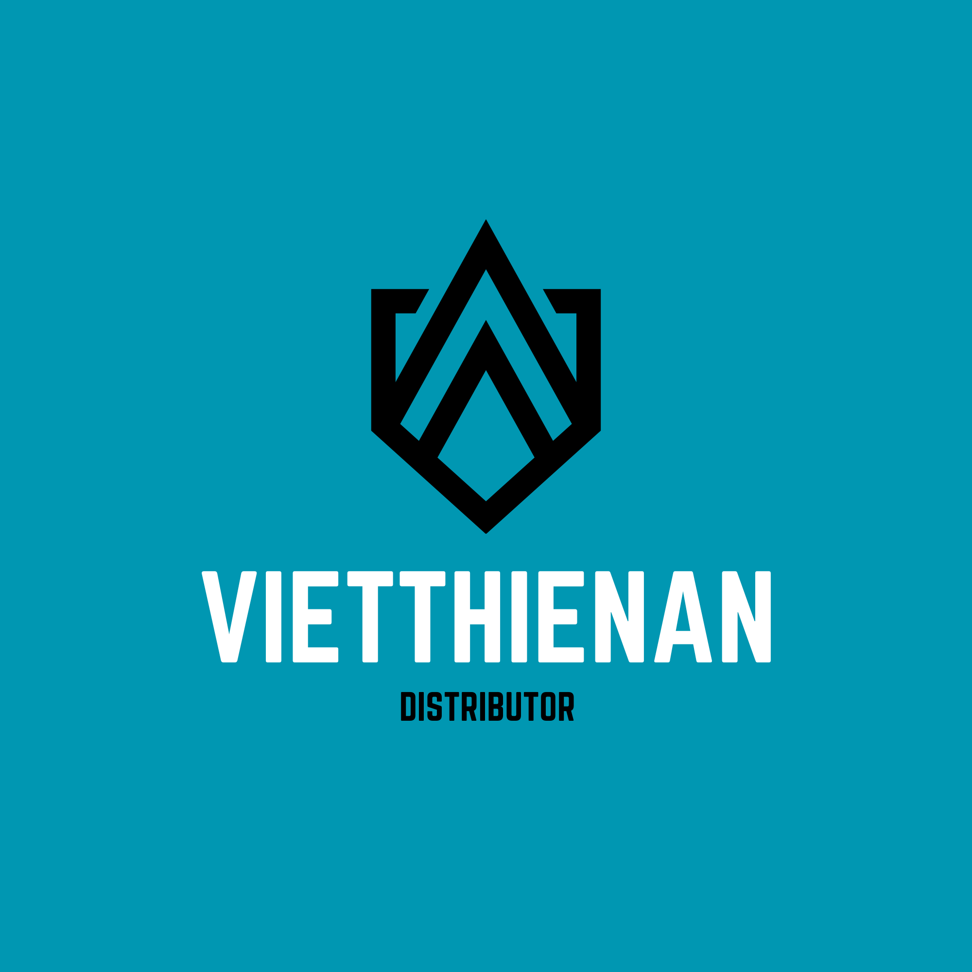 CÔNG TY TNHH TM&DV VIỆT THIÊN ÂN