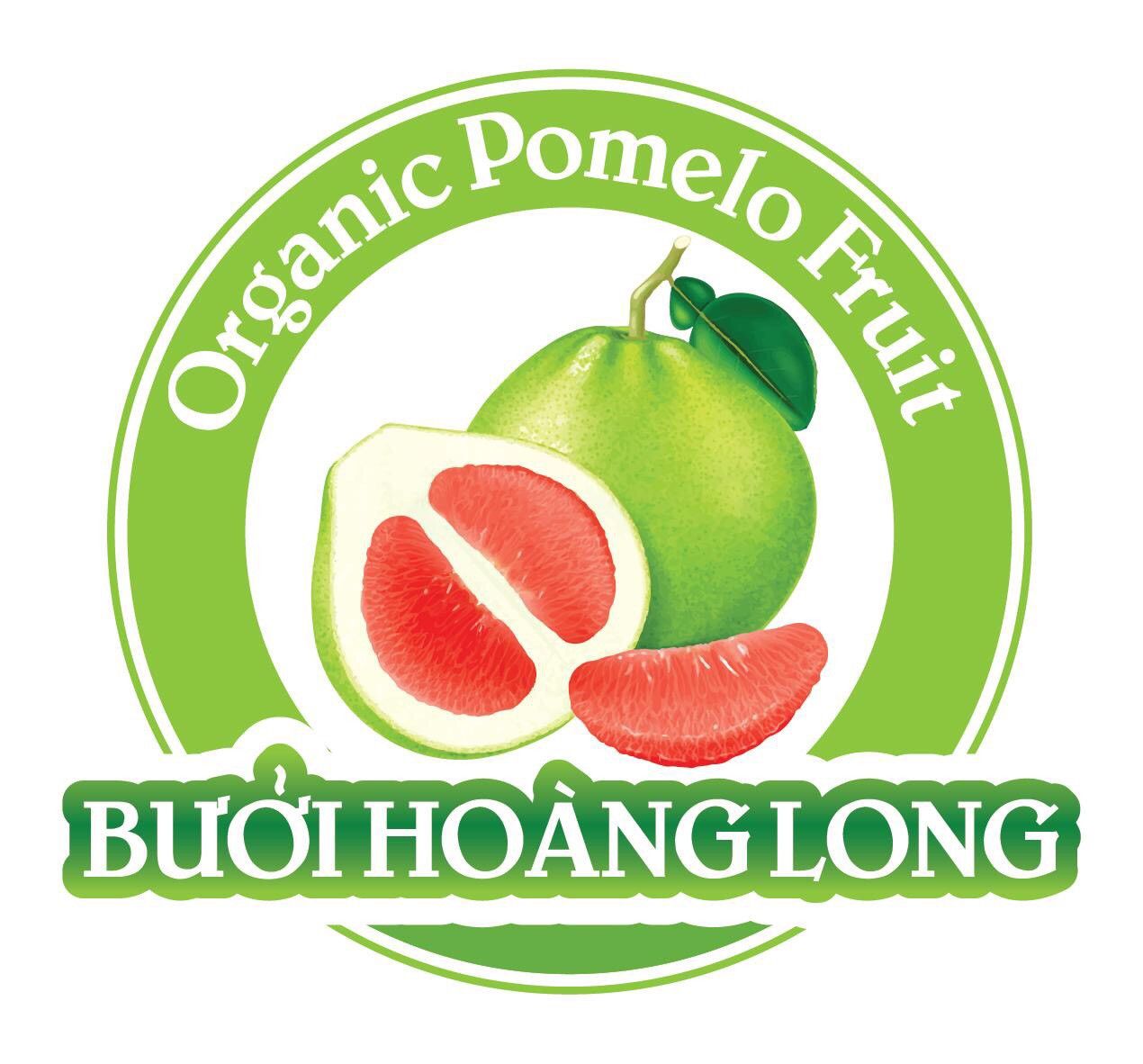 Công ty TNHH XNK Bưởi da xanh Hoàng Long