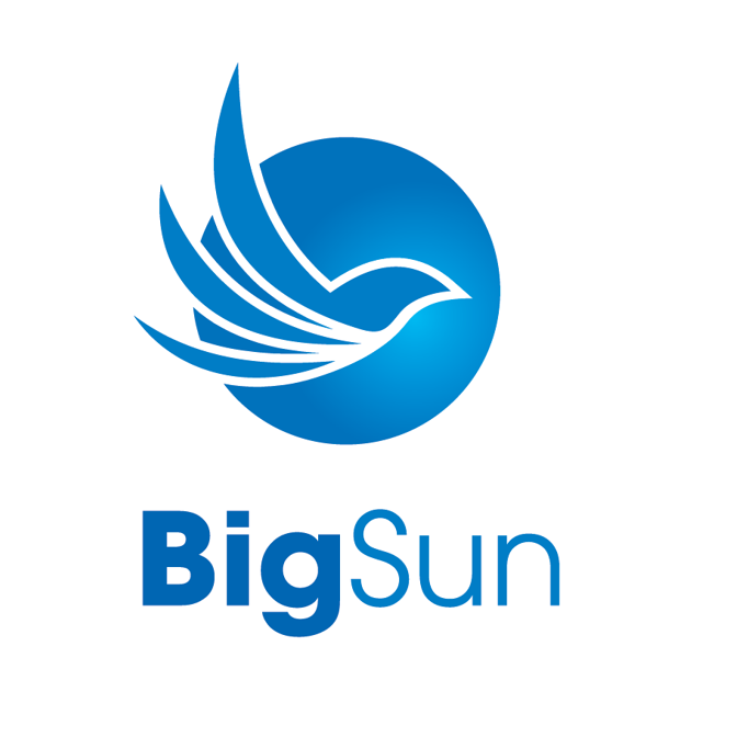 CÔNG TY CỔ PHẦN TƯ VẤN VÀ PHÁT TRIỂN QUỐC TẾ BIGSUN