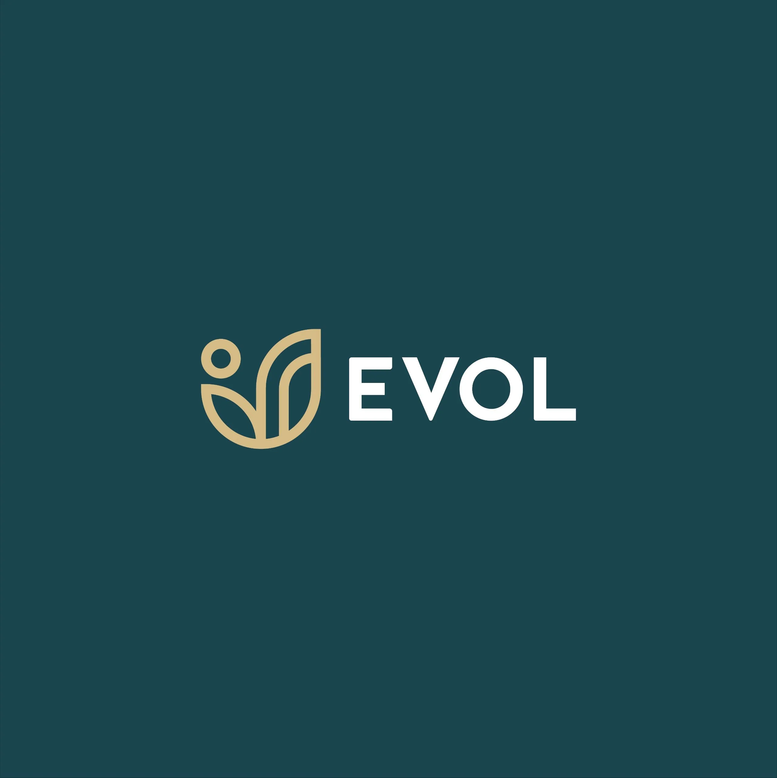 CÔNG TY TNHH THƯƠNG MẠI QUỐC TẾ EVOLUTION