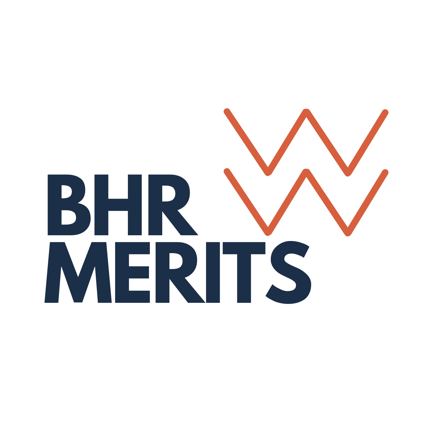 BHR Merits Co. Ltd