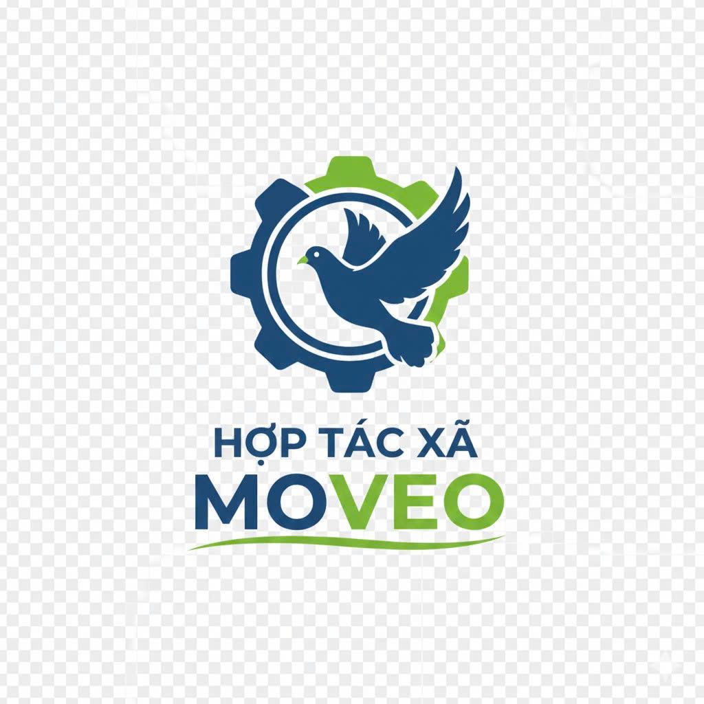 HỢP TÁC XÃ MOVEO