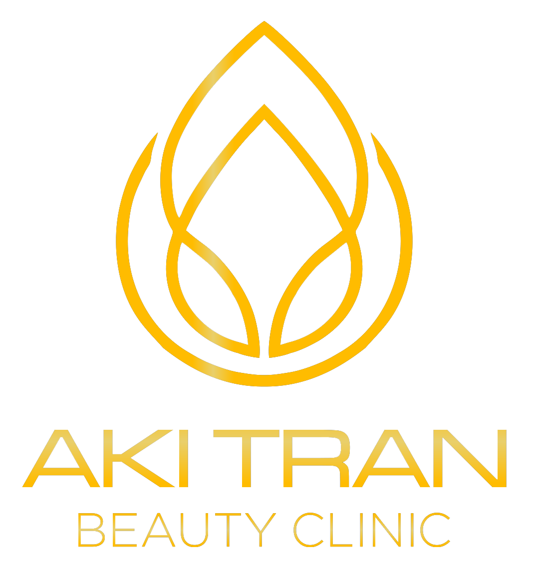 Công ty TNHH Aki Toàn Cầu