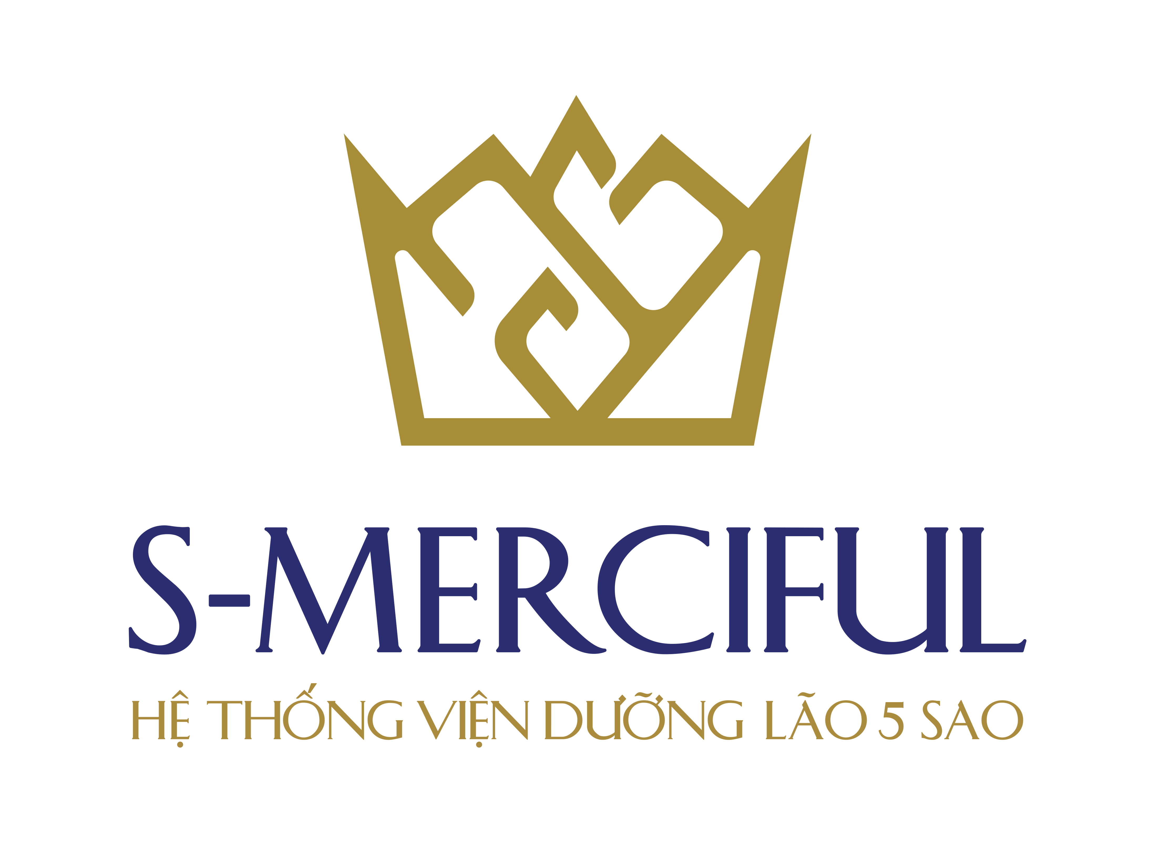 CÔNG TY CỔ PHẦN Y KHOA TỪ TÂM S-MERCIFUL