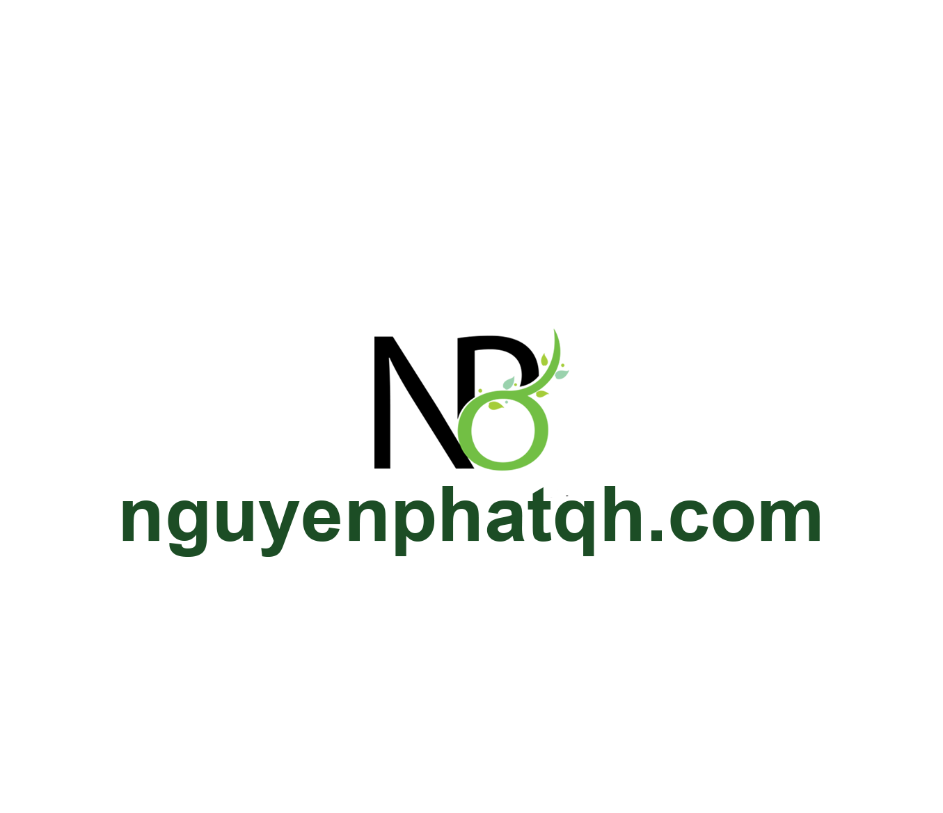 CÔNG TY TNHH MTV NGUYÊN PHÁT QH