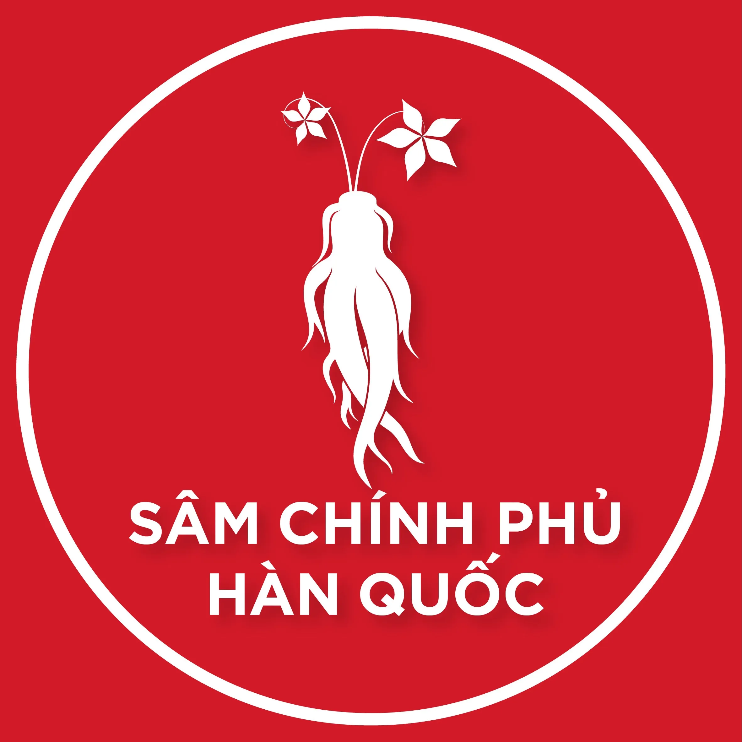 THUÝ HÀ
