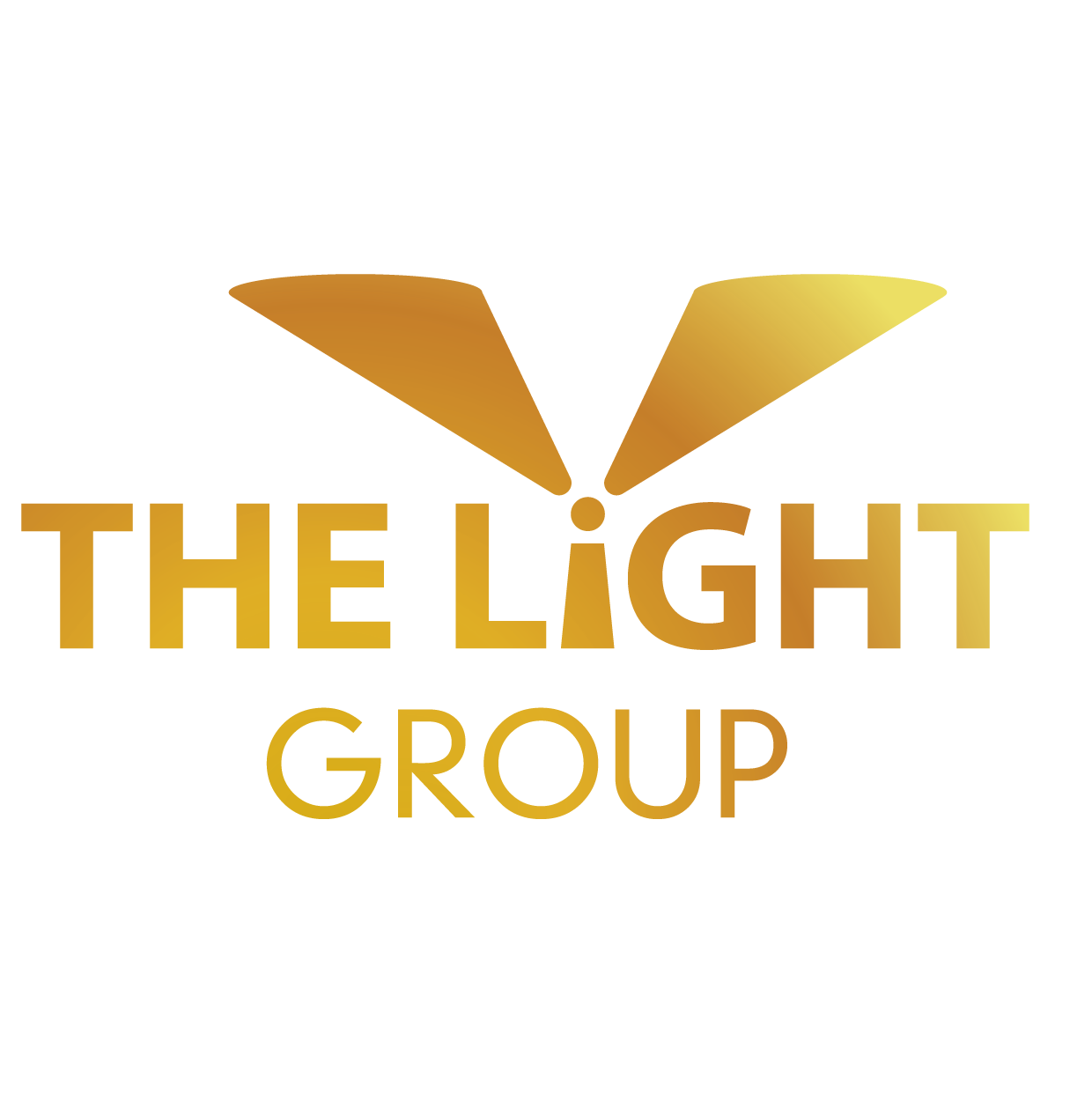 Công ty cổ phần tập đoàn The Light