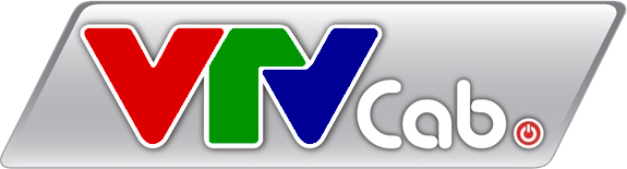 CÔNG TY TNHH MỘT THÀNH VIÊN HẠ TẦNG VIỄN THÔNG VTVCAB