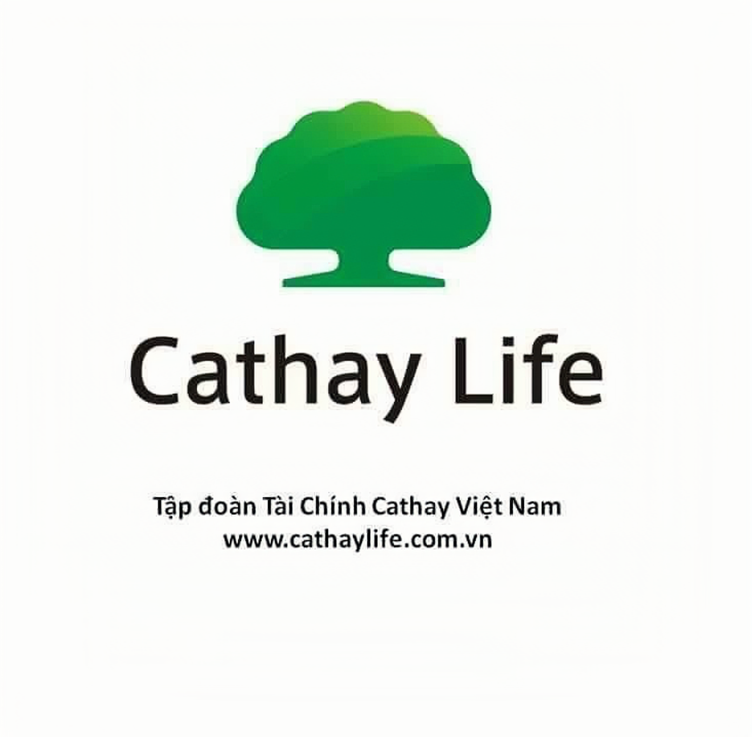 CÔNG TY TNHH BẢO HIỂM NHÂN THỌ CATHAY - VIỆT NAM
