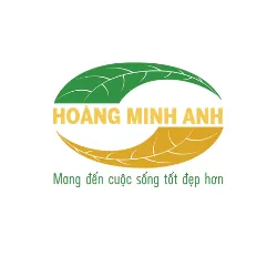 CÔNG TY TNHH TM DV VÀ GIẢI PHÁP HOÀNG MINH ANH