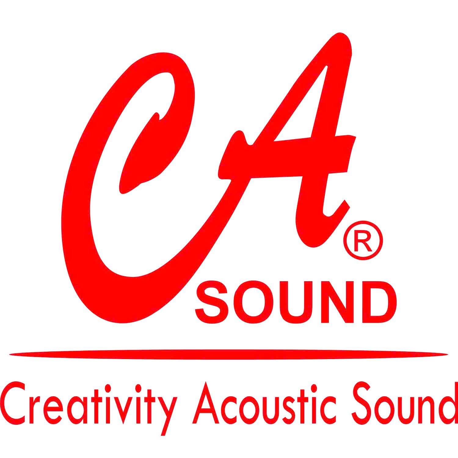 CHI NHÁNH CÔNG TY TNHH ĐIỆN TỬ CASOUND VIỆT NAM TẠI THÀNH PHỐ HỒ CHÍ MINH