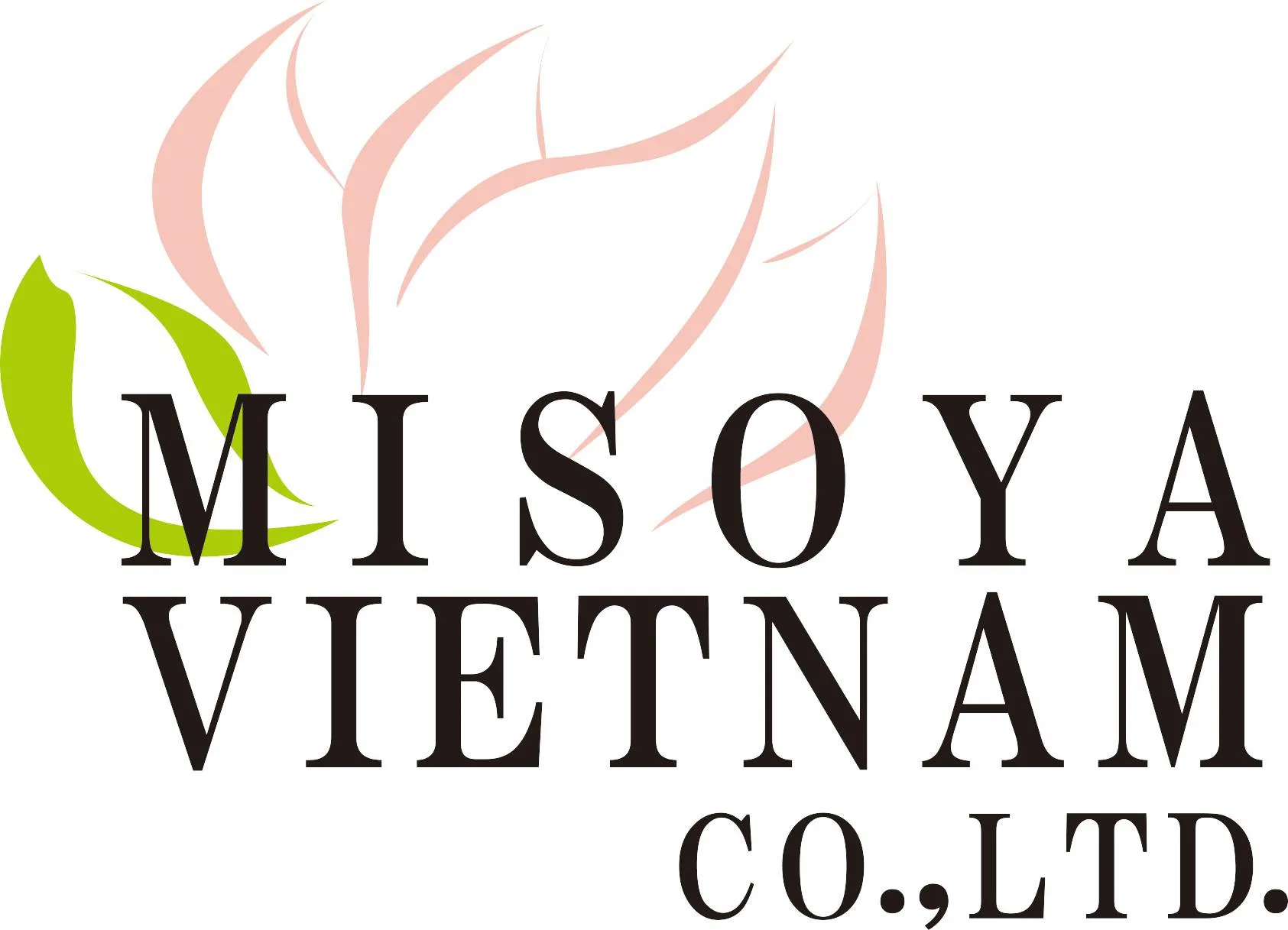 CÔNG TY TNHH MTV MISOYA VIET NAM