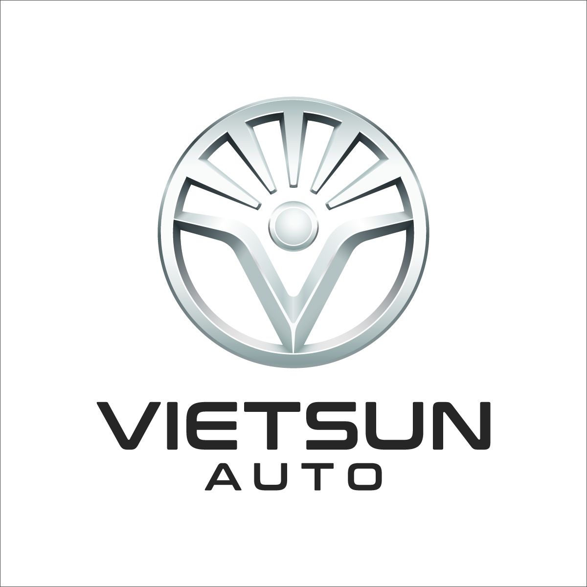 CÔNG TY CỔ PHẦN ĐẦU TƯ VÀ HỢP TÁC QUỐC TẾ VIETSUN
