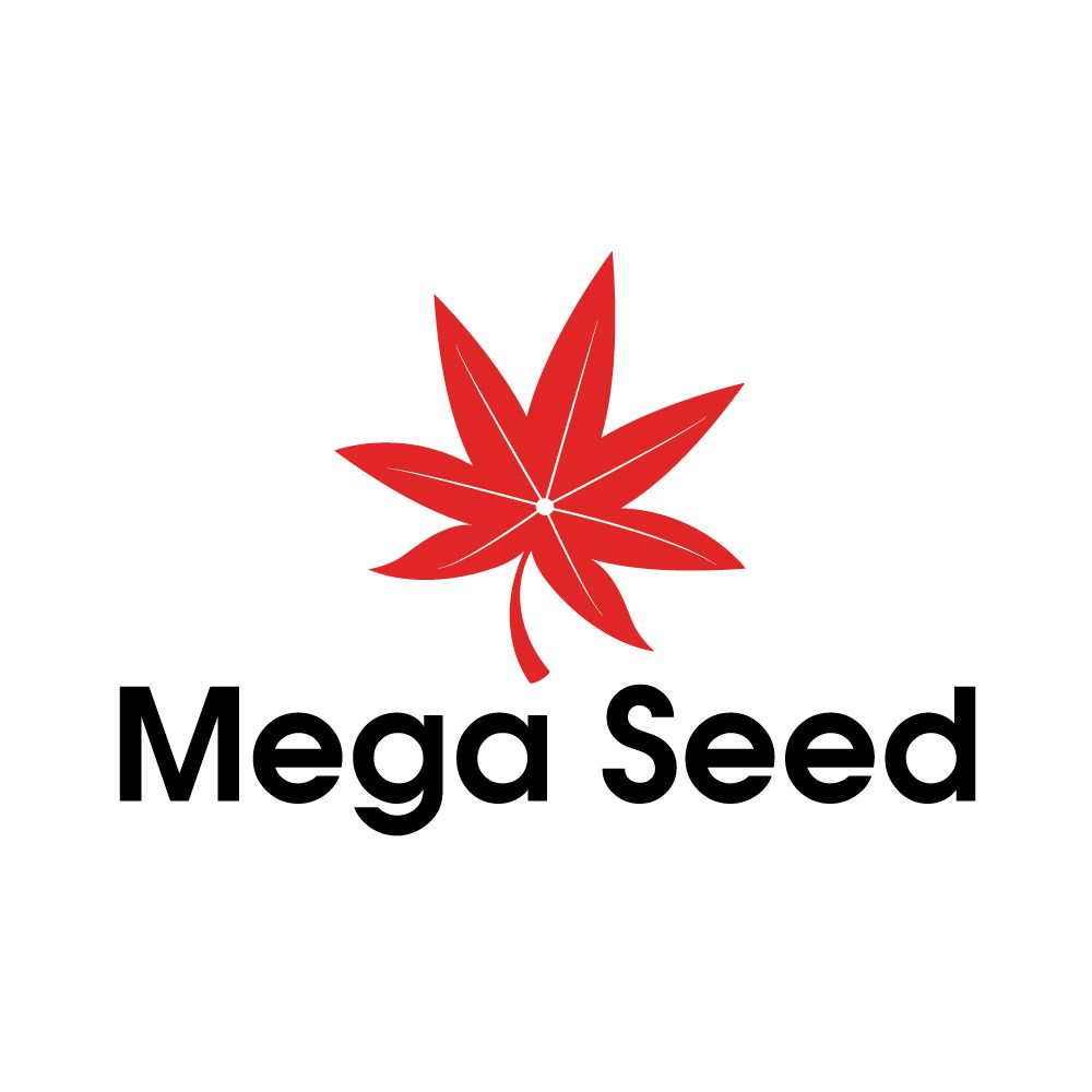 CÔNG TY TNHH MEGA SEED