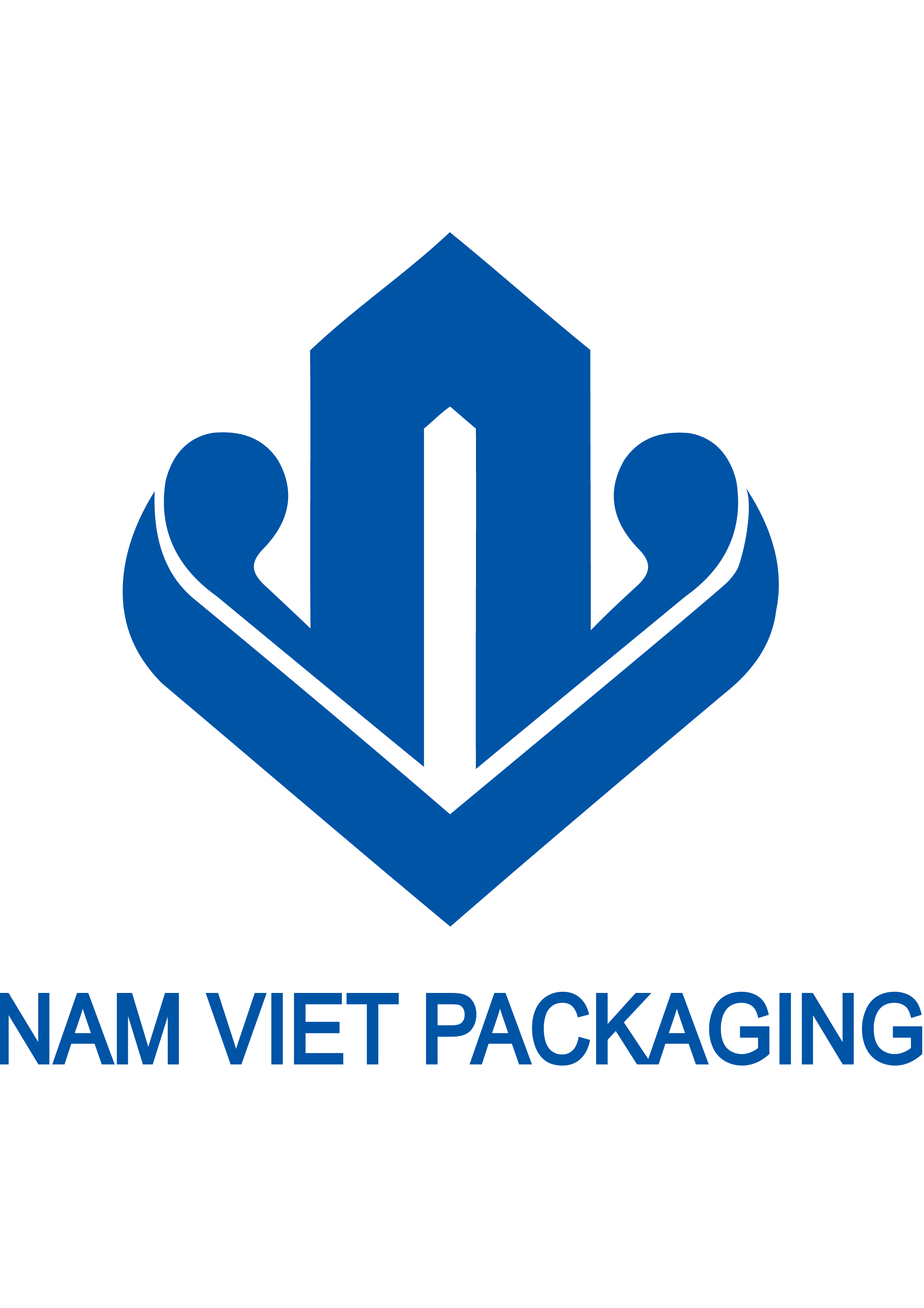 CÔNG TY TNHH SẢN XUẤT BAO BÌ NAM VIỆT