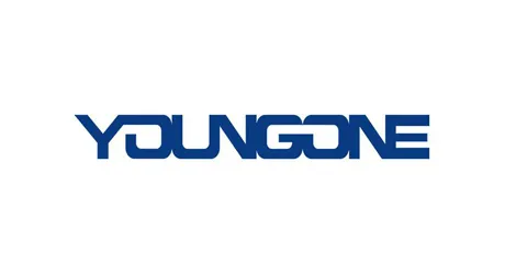 Công ty TNHH YOUNGONE NAM ĐỊNH - CHI NHÁNH TP. HỒ CHÍ MINH