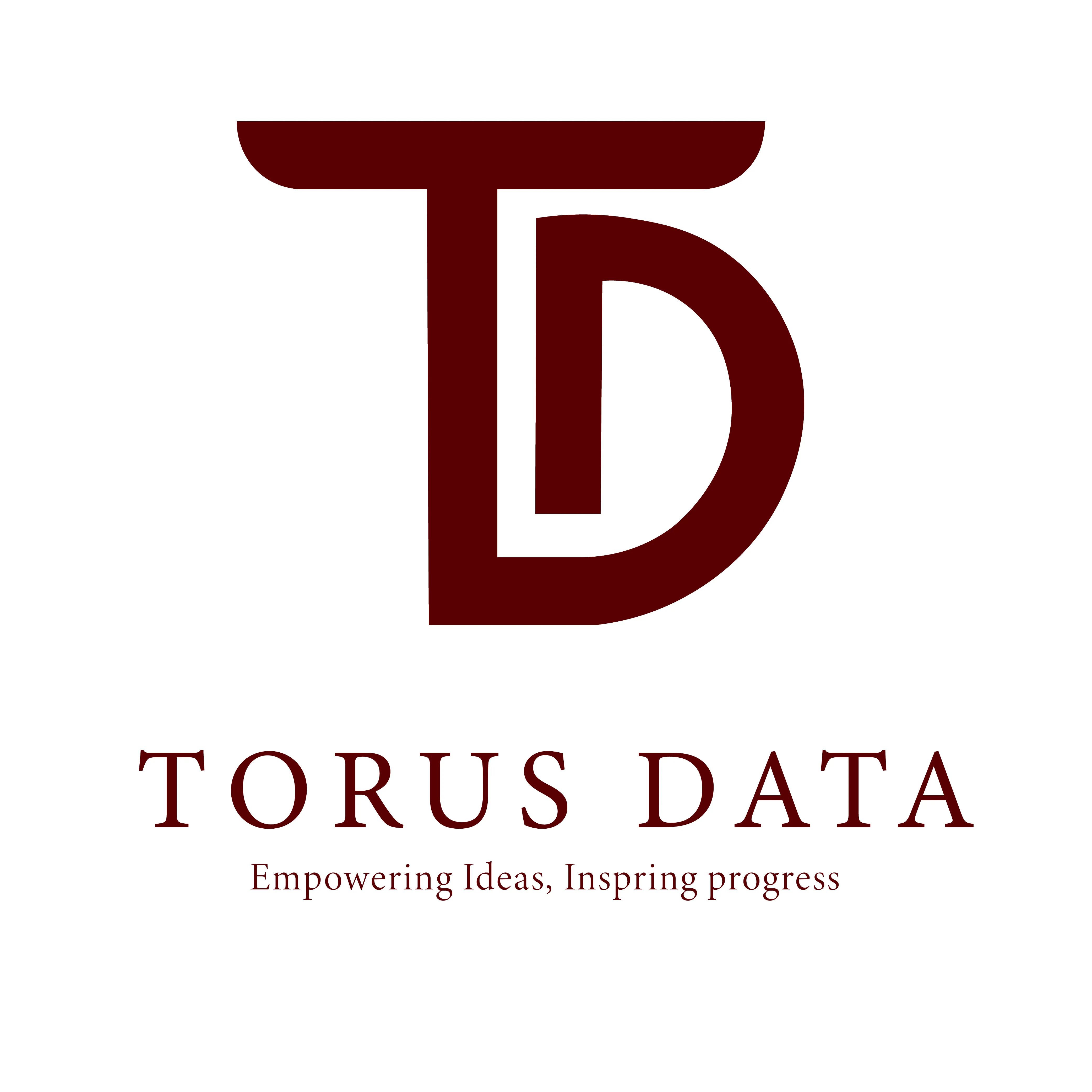 CÔNG TY TNHH TORUS DATA