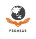 CÔNG TY CỔ PHẦN TƯ VẤN VÀ ĐẦU TƯ PEGASUS - CHI NHÁNH HÀ NỘI
