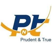 CÔNG TY TNHH KIỂM TOÁN QUỐC TẾ PNT - CHI NHÁNH HÀ NỘI