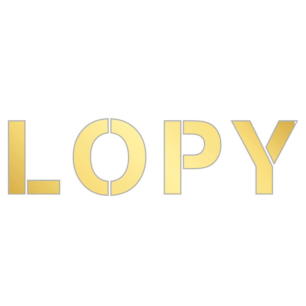 CÔNG TY CP THƯƠNG MẠI LOPY VIỆT NAM