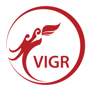 CÔNG TY TNHH VIGROUP