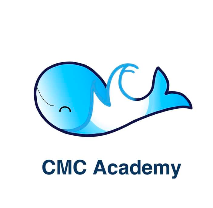 Công ty TNHH Cao Minh Châu Academy