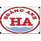 Công ty Cổ phần Công nghiệp Hoàng Anh