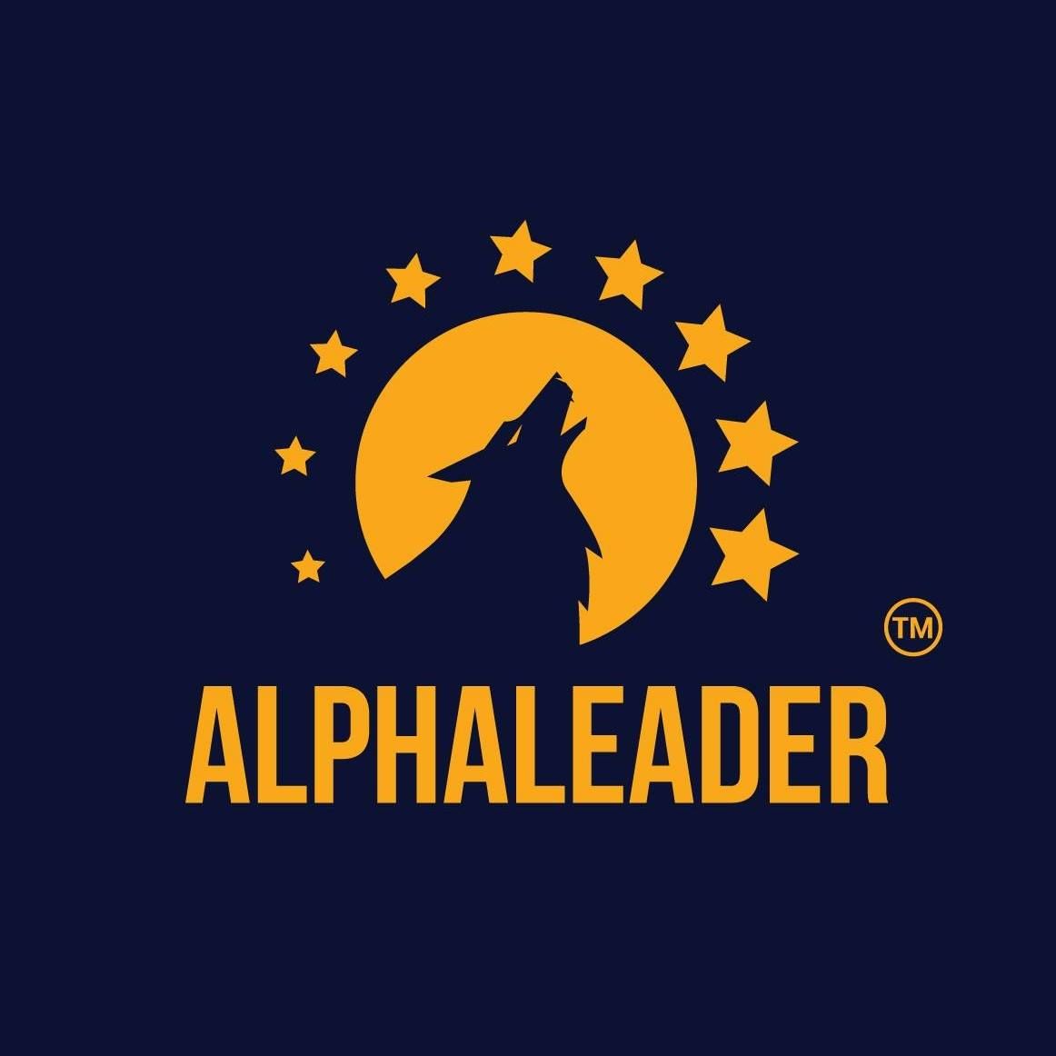 Công ty Cổ phần Alphaleader Academy