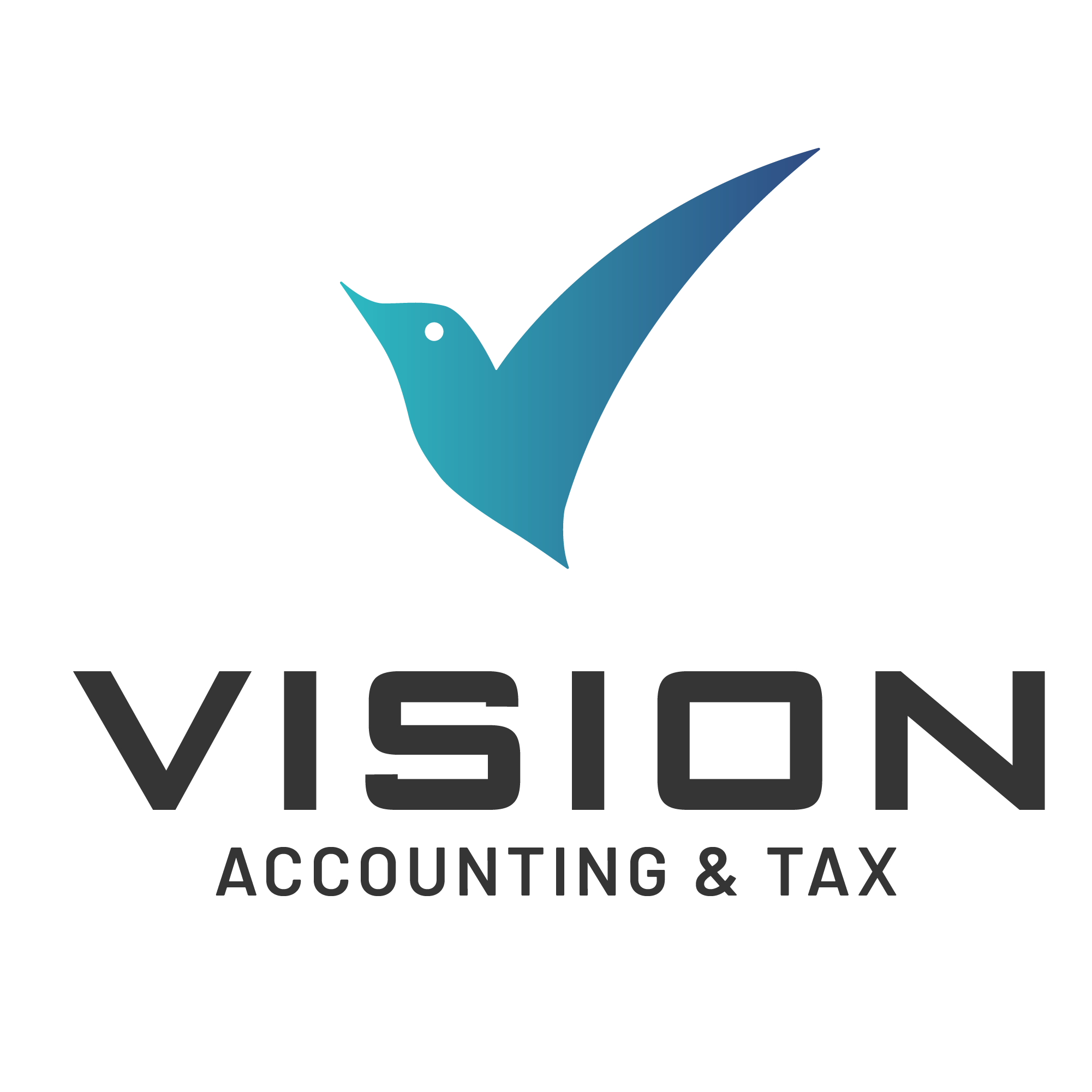 CÔNG TY CP ĐẠI LÝ THUẾ VISION