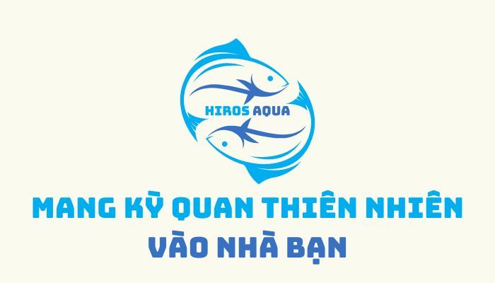Hiros Aqua
