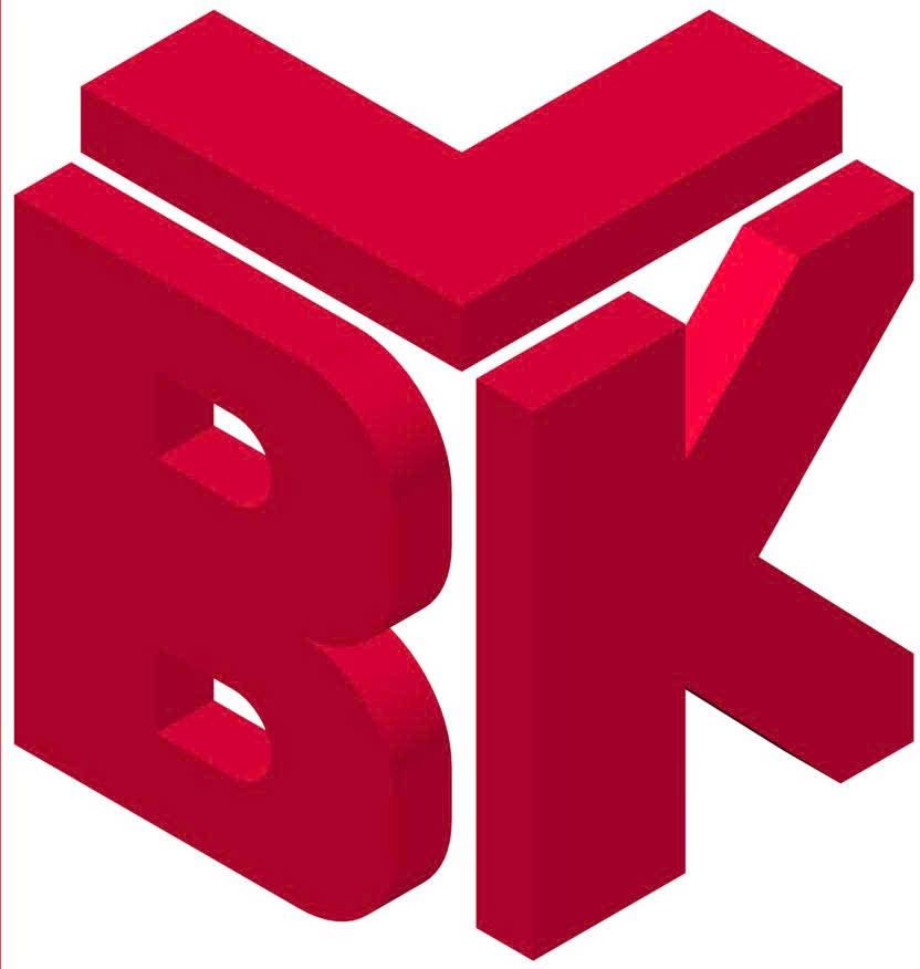 CÔNG TY CỔ PHẦN BKV VIỆT NAM