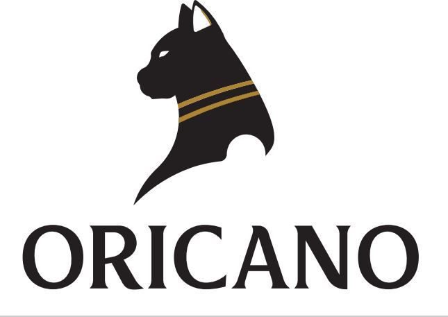 công ty cổ phần thời trang oricano