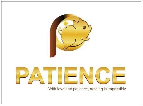 CÔNG TY TNHH MTV PATIENCE