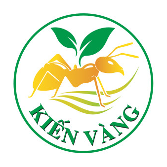 CÔNG TY CỔ PHẦN XUẤT NHẬP KHẨU QUỐC TẾ KIẾN VÀNG THADO