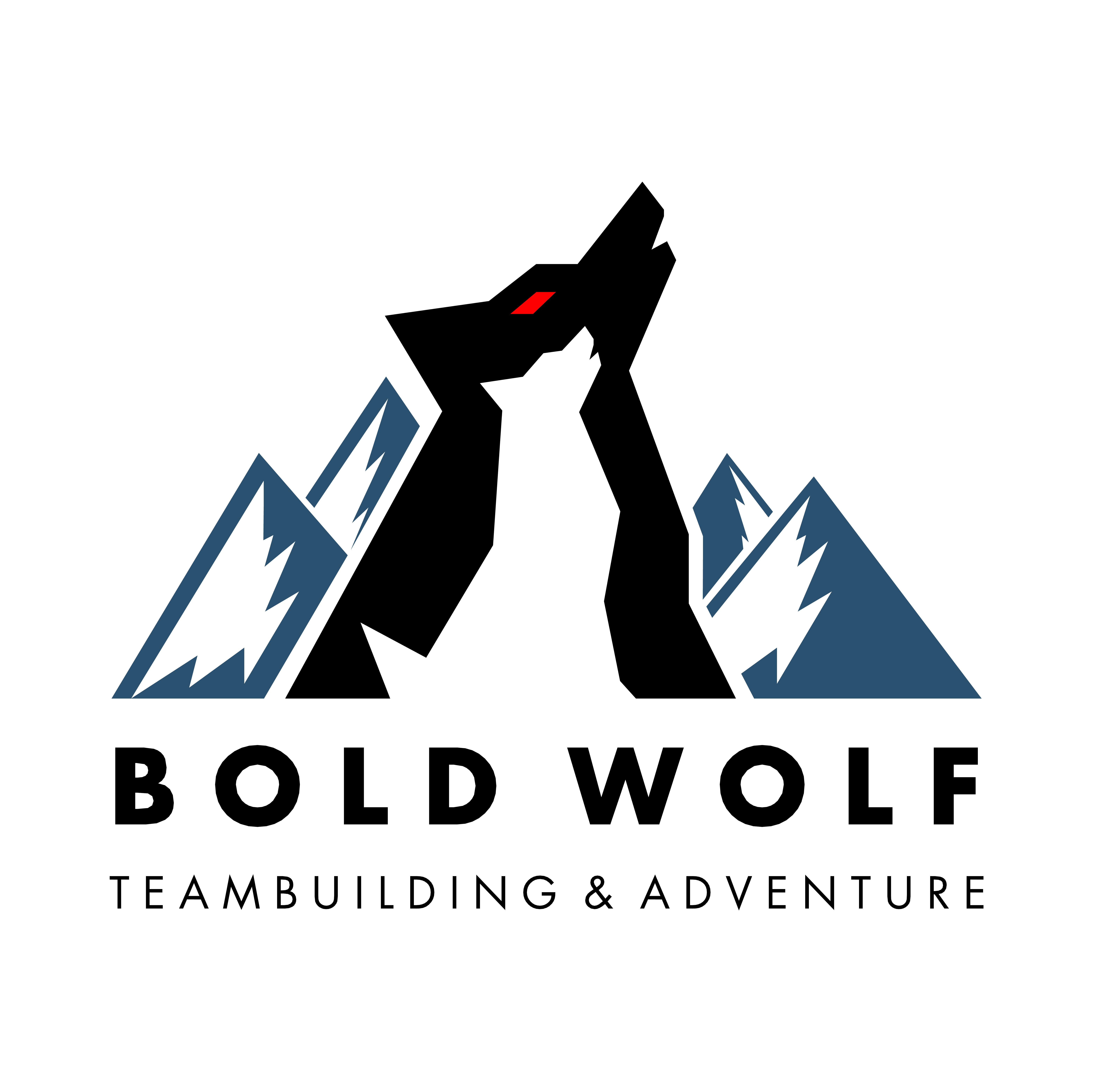 Công ty cổ phần truyền thông Bold Wolf