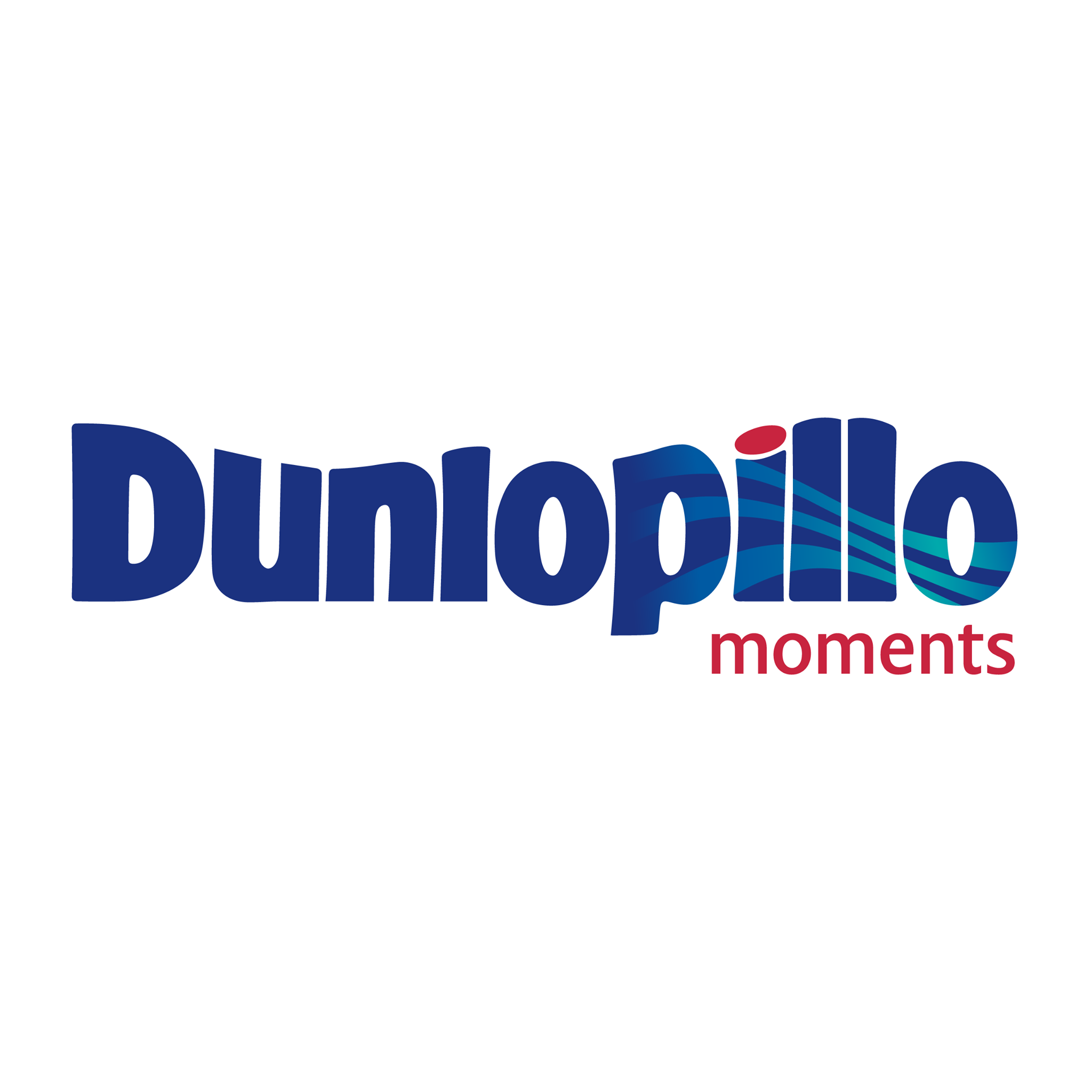 Công Ty TNHH Dunlopillo (Việt Nam)