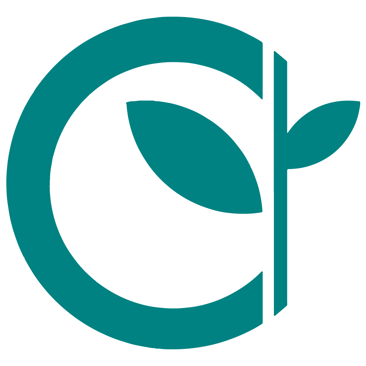 CÔNG TY CỔ PHẦN HỢP TÁC ĐẦU TƯ & CÔNG NGHỆ TECHCOOP