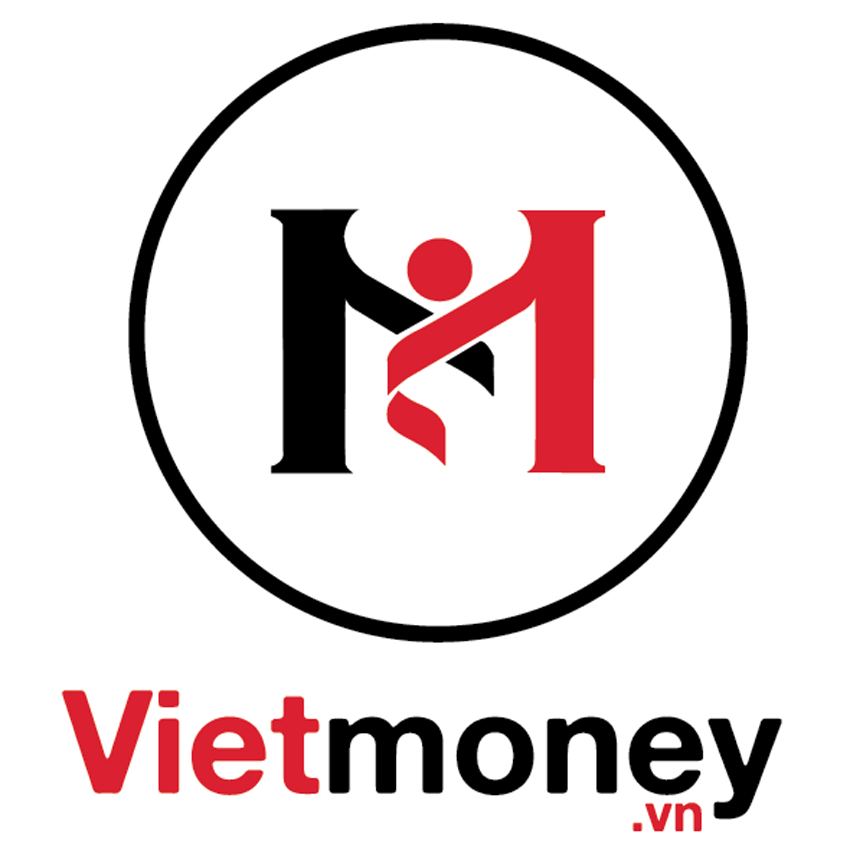 Công ty Cổ phần Việt Money