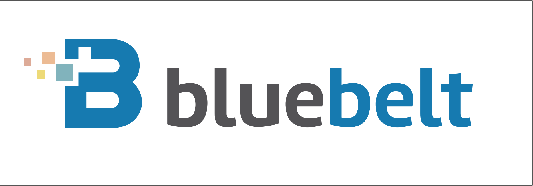 Blue Belt Technology Co., Ltd