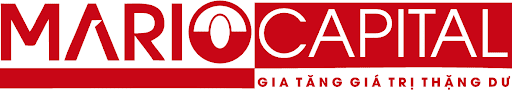 CÔNG TY CỔ PHẦN GIAO DỊCH HÀNG HÓA MARIO