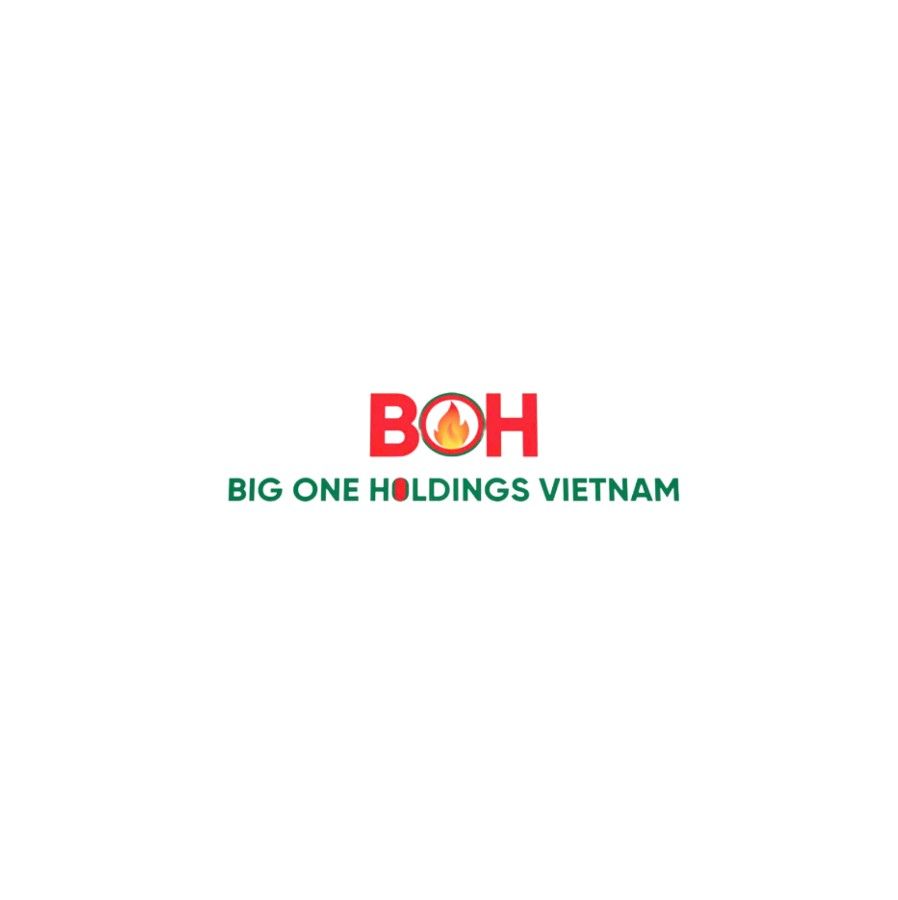 CÔNG TY CỔ PHẦN BẤT ĐỘNG SẢN BIG ONE HOLDINGS VIỆT NAM