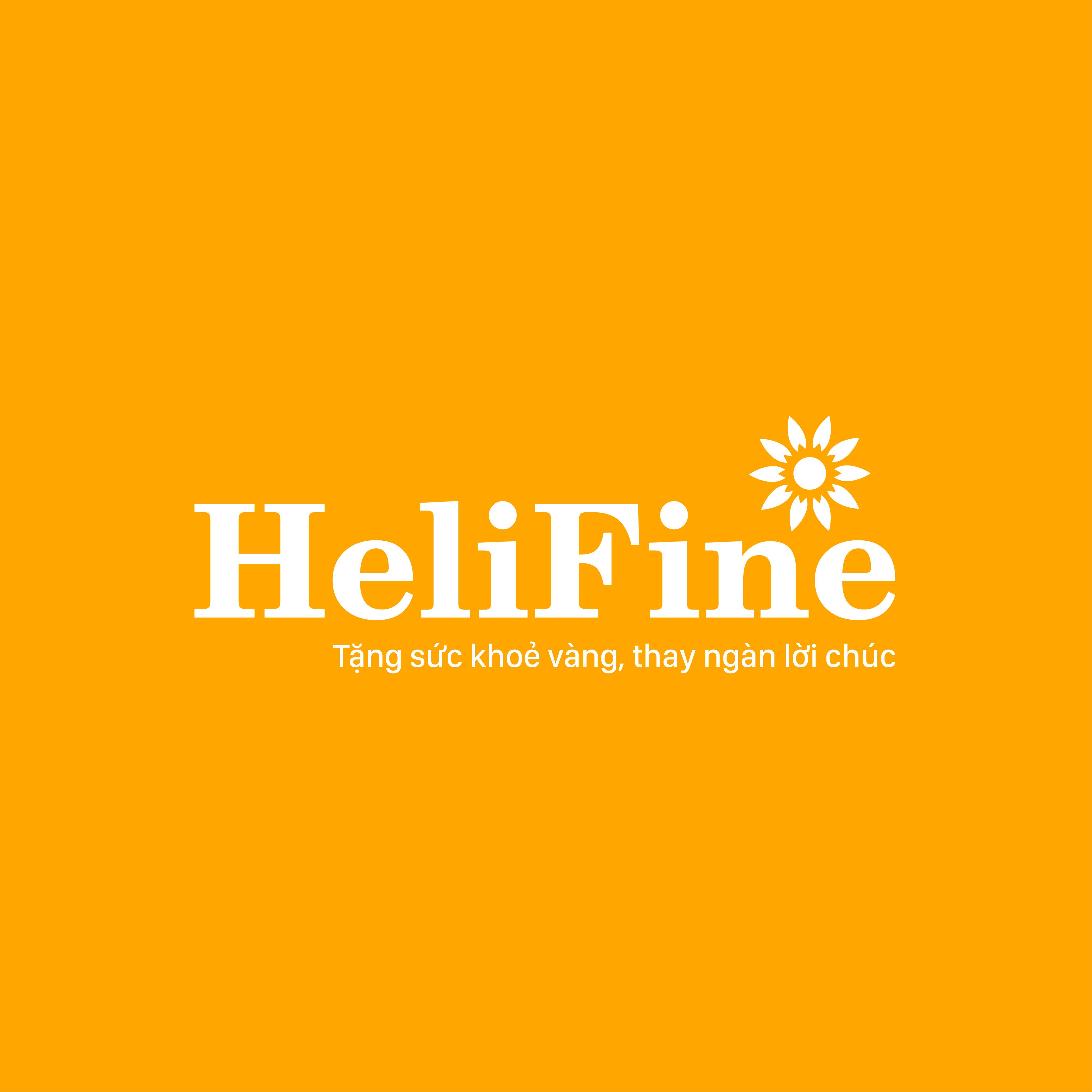 CÔNG TY CỔ PHẦN THƯƠNG MẠI VÀ DỊCH VỤ HELIFINE