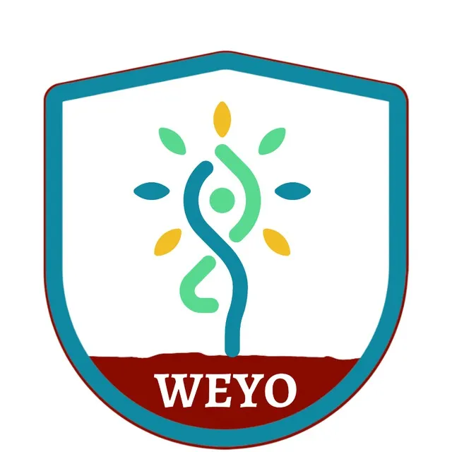 CÔNG TY CỔ PHẦN TƯ VẤN VÀ ĐẦU TƯ WEYO
