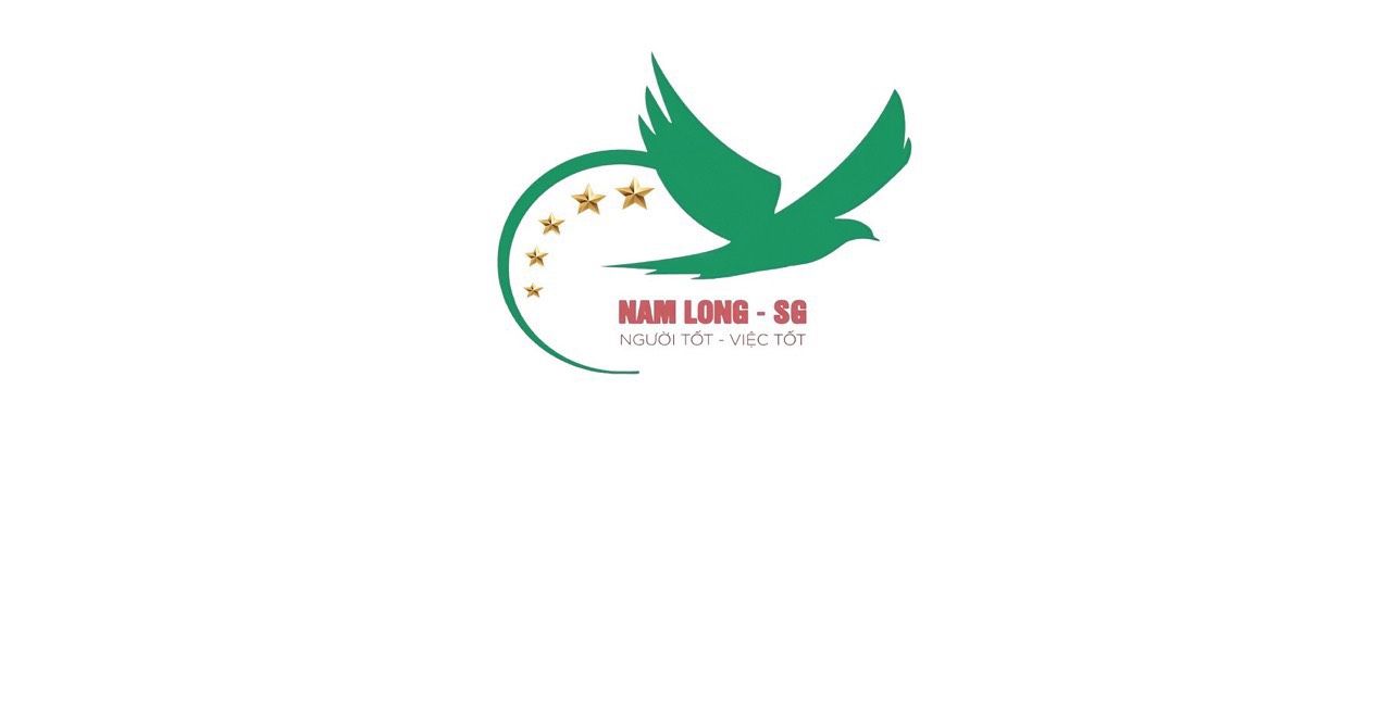 CHI NHÁNH CÔNG TY TNHH THƯƠNG MẠI DỊCH VỤ TƯ VẤN NAM LONG SG