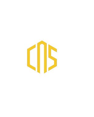 Công ty TNHH GIẢI PHÁP DỊCH VỤ CÔNG NGHỆ CAS