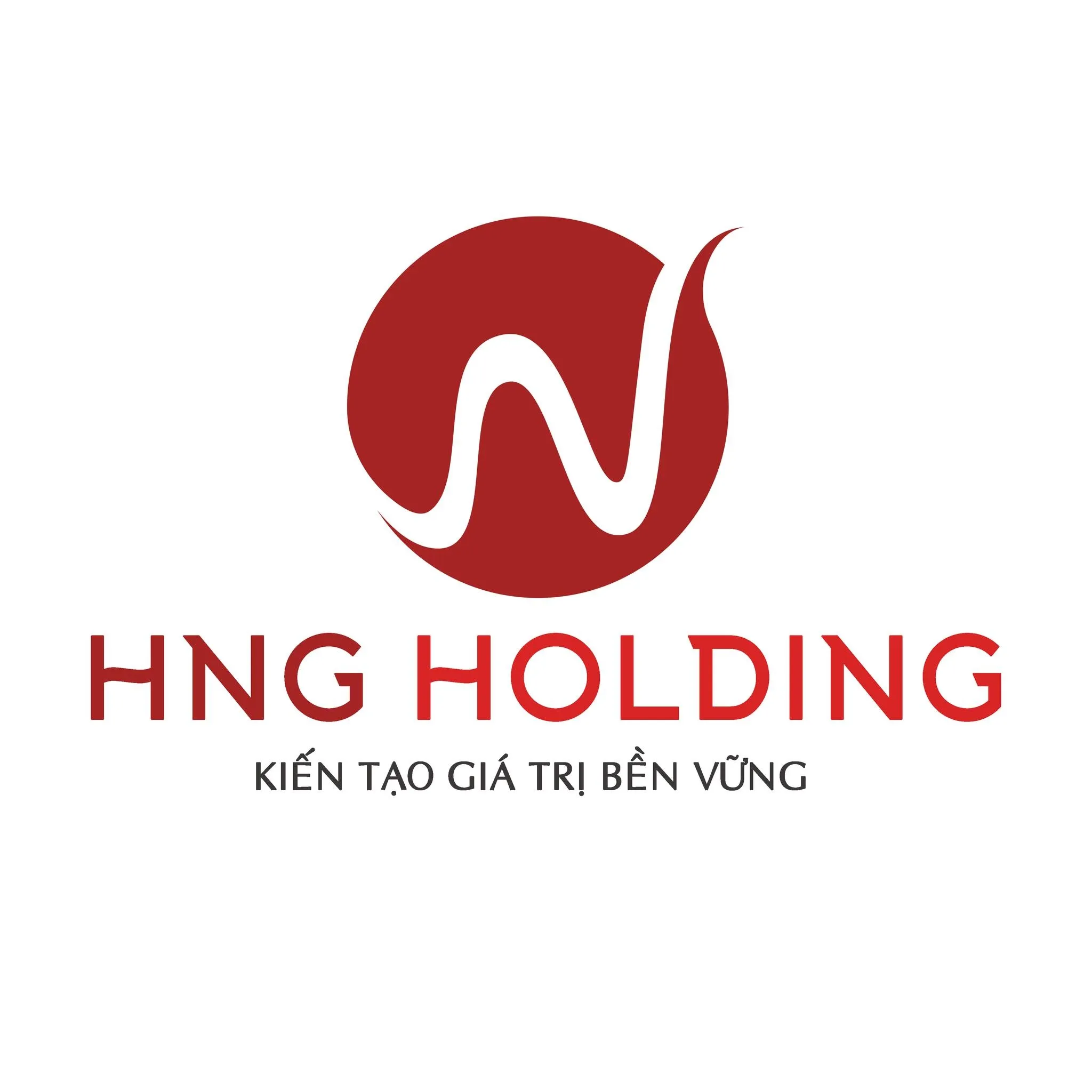 CÔNG TY CỔ PHẦN ĐẦU TƯ VÀ THƯƠNG MẠI HNG HOLDINGS