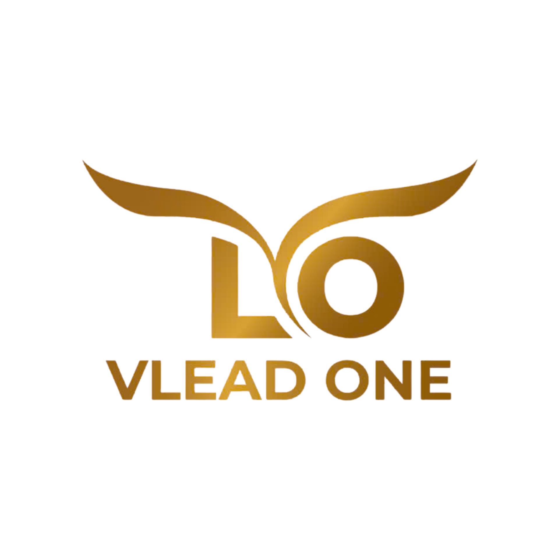 CÔNG TY TNHH VLEAD ONE