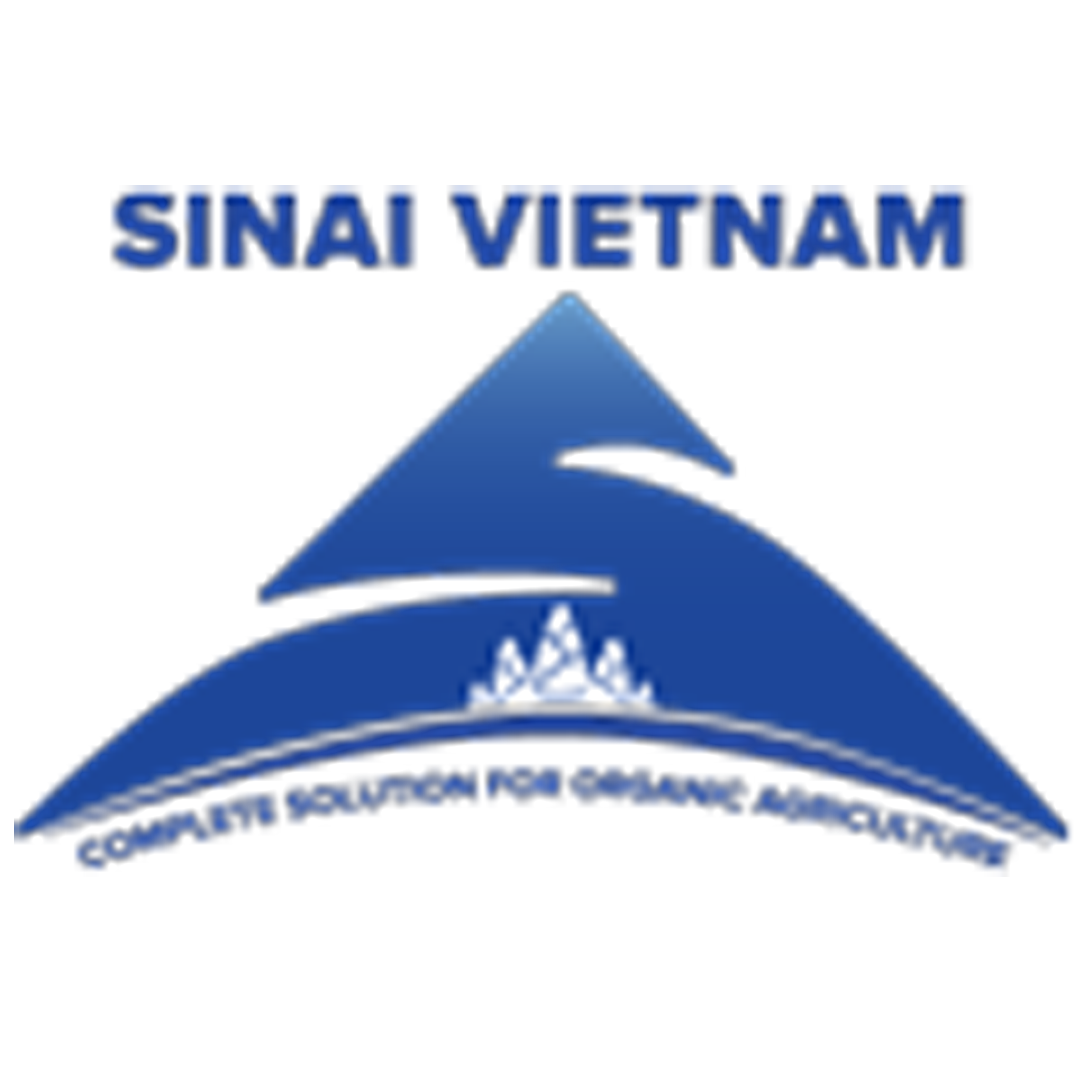 SINAI VIETNAM ST CO., LTD