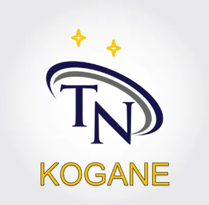 Công ty cổ phần thương mại dịch vụ TN KOGANE