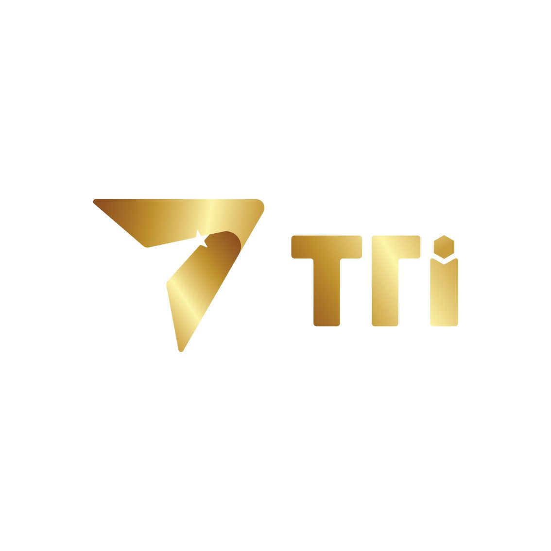 Công ty Cổ Phần TTI